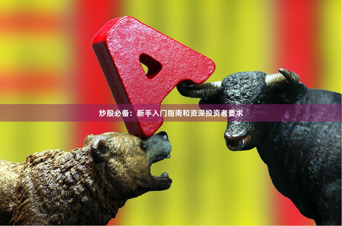 炒股必备：新手入门指南和资深投资者要求