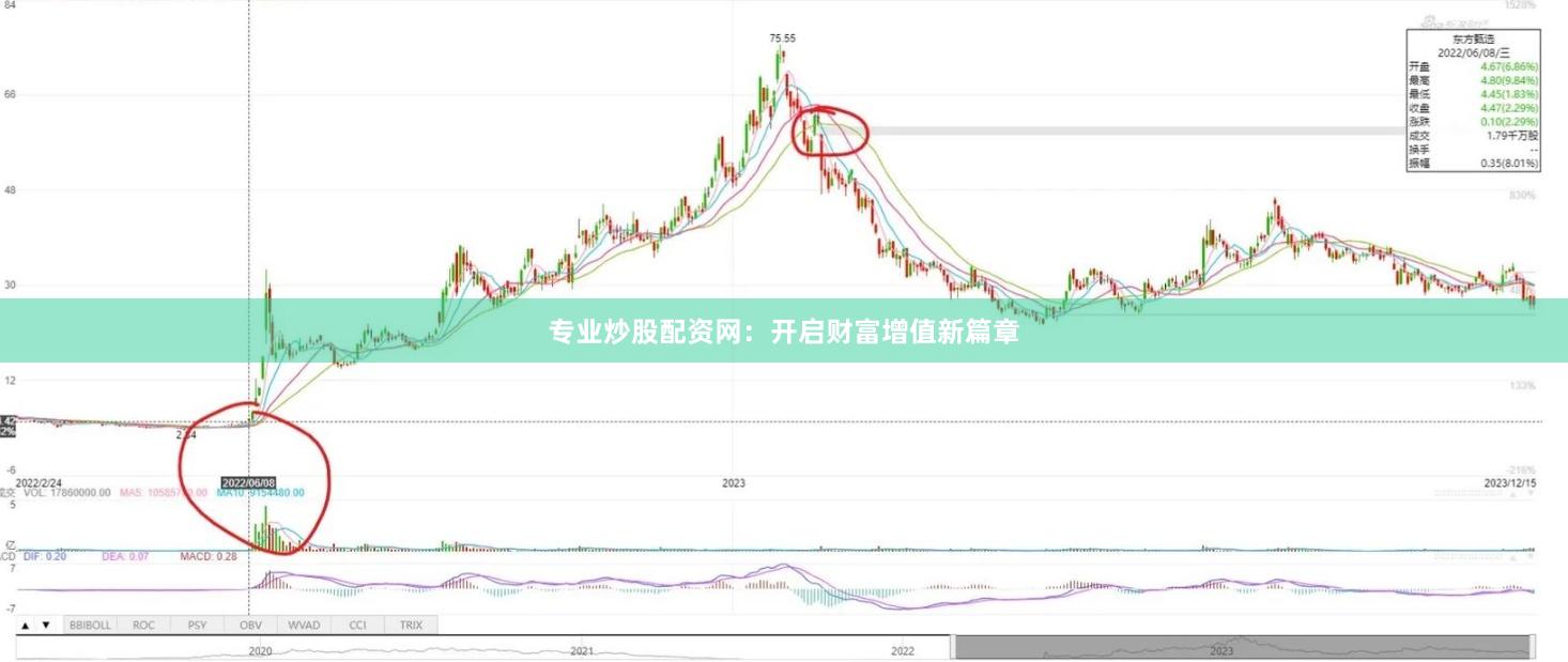 专业炒股配资网：开启财富增值新篇章
