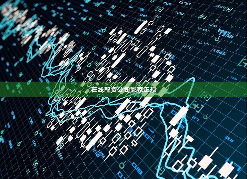 在线配资公司哪家正规